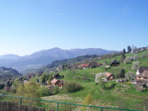 Hotels in Geishouse